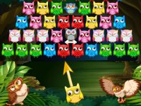Owl Match Puzzle
