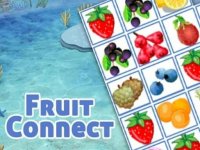 Fruit Match Connect Puzzle