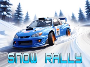 Snow Rally Racing Game Arcade Game