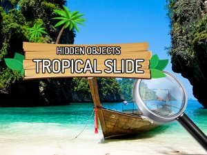Hidden Objects Tropical Slide Online Puzzle Game