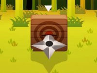 Dart Aim Challenge