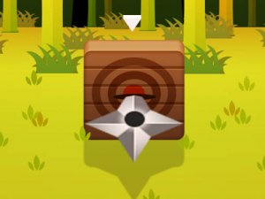 Ninja Dart Online Arcade Game