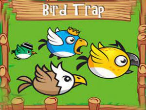 Bird Trap Arcade Game