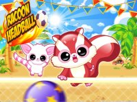 Raccoon Beach Ball Challenge