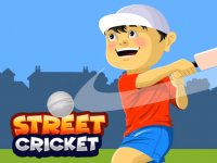 Street Cricket Arcade Sports Game