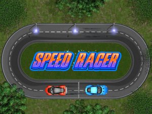 Speed Racer One Player and Two Player Racing Game Arcade Game