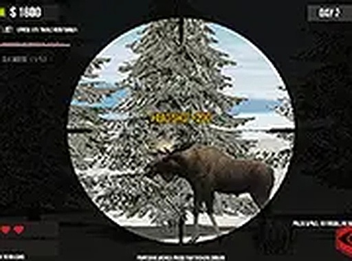 Steady Shot: Forest Target Trials
