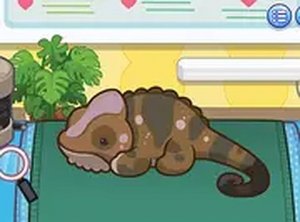 Sara Vet Life Ep12: Chameleon Online Game - Animal Care Game